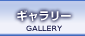 �K���X�G�b�`���O �M�������[